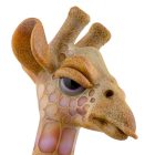 Giraffe Face - Robertson Glass