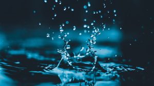 Mistake #2: Using Too Much or Too Little Water